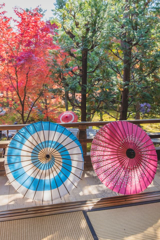 Customized Umbrella
